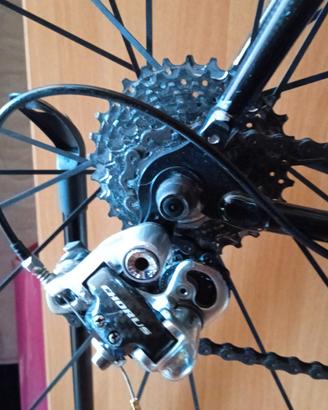 Bici da Strada , Colnago 