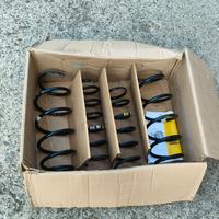 Molle ammortizzatori Fiat Panda Cross