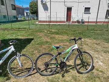 bicicletta da ragazzi