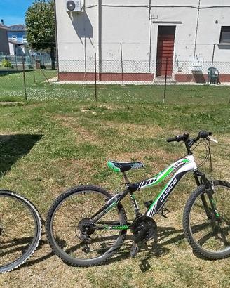 bicicletta da ragazzi