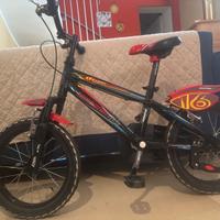Bicicletta