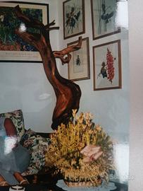 TRONCO DI GINEPRO SECOLARE