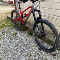 Bici enduro