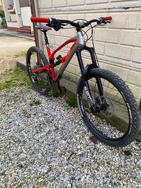 Bici enduro
