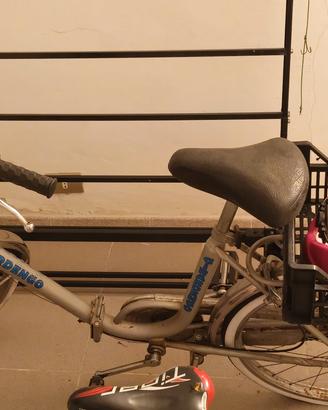 bici pieghevole 