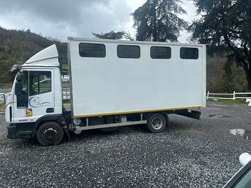 Camion cavalli Eurocargo 80/220