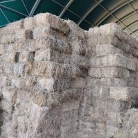 Fieno in ballette biologico