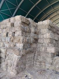 Fieno in ballette biologico