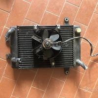 Radiatore Burgman 250 400