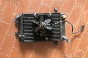 Radiatore Burgman 250 400