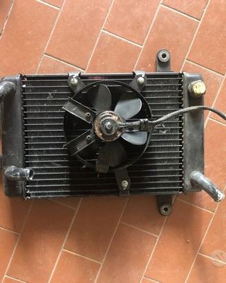 Radiatore Burgman 250 400