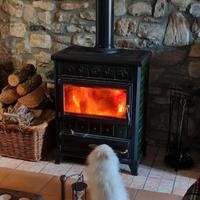 Stufa a legna in ghisa