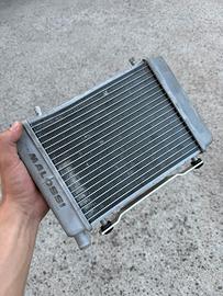 radiatore malossi zip sp/disk