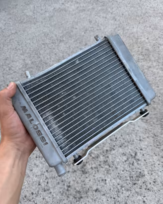 radiatore malossi zip sp/disk