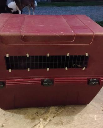 trasportino cane taglia medio piccola