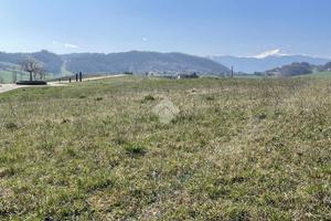 TER. RESIDENZIALE A PAVULLO NEL FRIGNANO