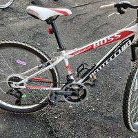 mtb bici bottecchia