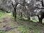 Immagine 25