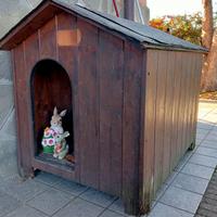 Cuccia per cane taglia mediada esterno