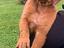 Immagine 4