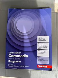 divina commedia purgatorio dante zanichelli