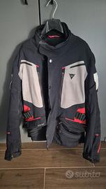 Giacca moto Dainese Carve Master 2
