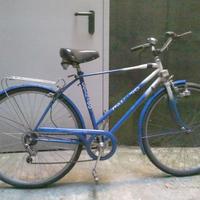 Bici Colnago Italia '90