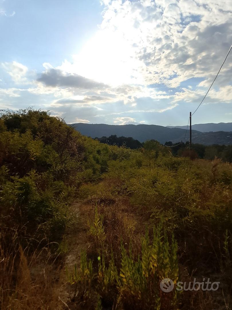 terreno agricolo in saporito - Vista 3
