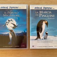 DVD dvd cartoni animati