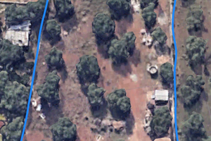 Terreno edificabile pianeggiante