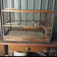 gabbie in legno 
