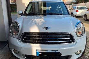 Mini Countryman d