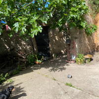 Casa indipendente