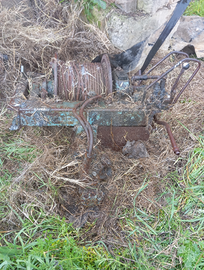 Verricello forestale