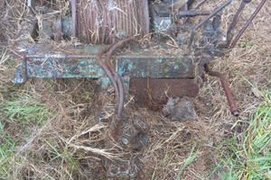 Verricello forestale