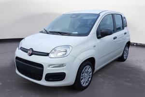 FIAT Panda NEW 1.0 70cv Hybrid Pop