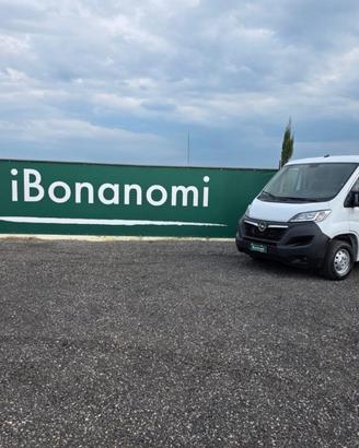 Opel Movano L1 H1 - 2022 km 74.380