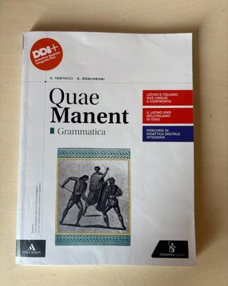 "Quae Manent - Grammatica"