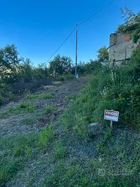Rudere con terreno adiacente