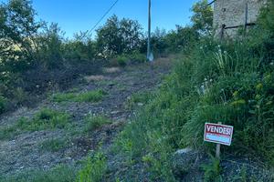 Rudere con terreno adiacente