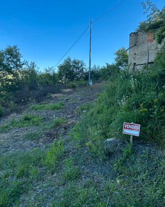 Rudere con terreno adiacente