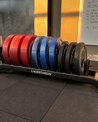 Rastrelliera Lacertosus Crossfit