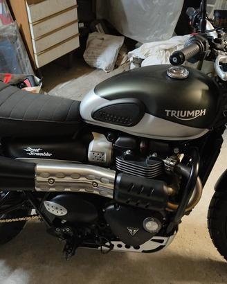 triumph street scrambler 900  55cv del 2018