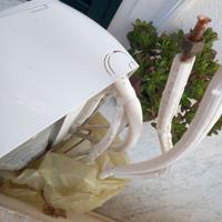 Condionatore argo 9000btu pari al nuovo