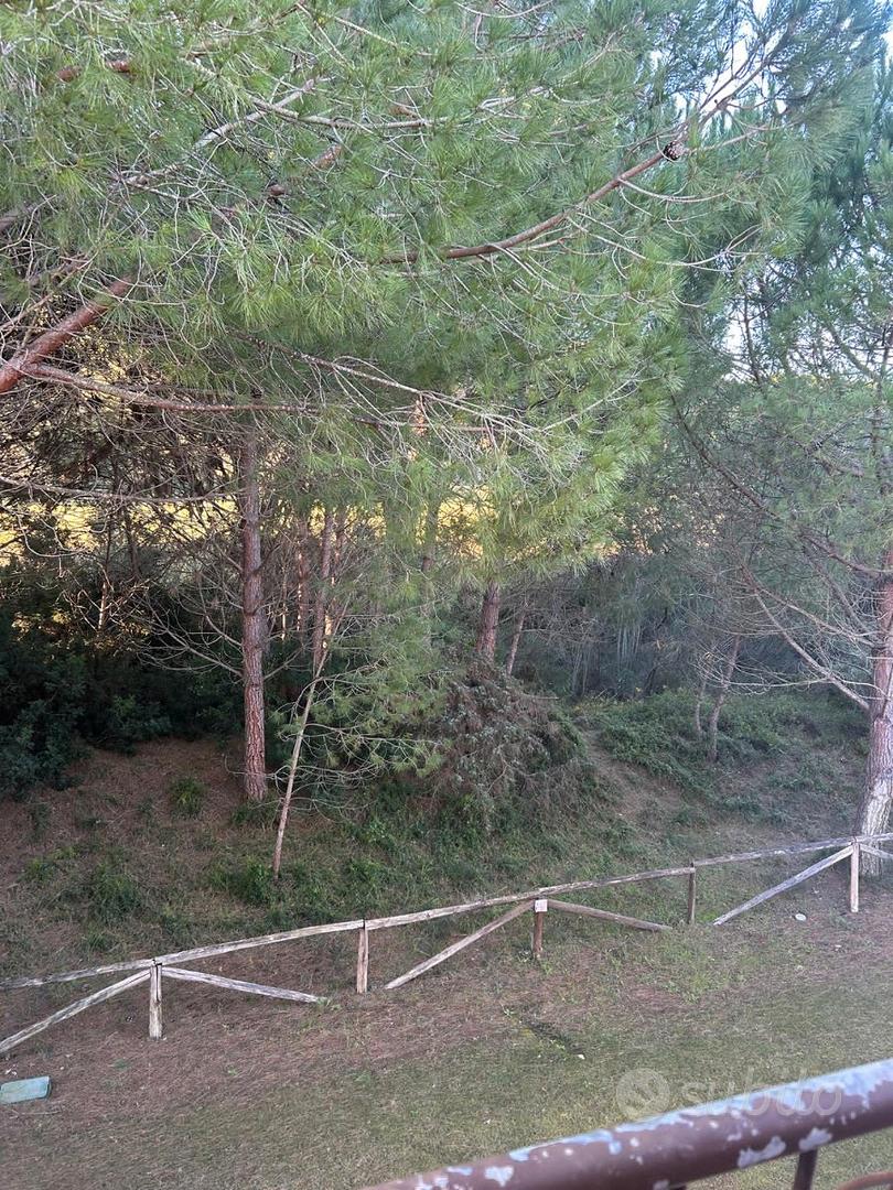 Apartment in Narabuia/Narbolia, Aristanis/Oristano - Vista 3