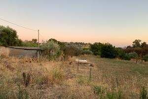 Terreno edificabile in C.da Niscima (CL)