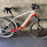 Bici elettrica