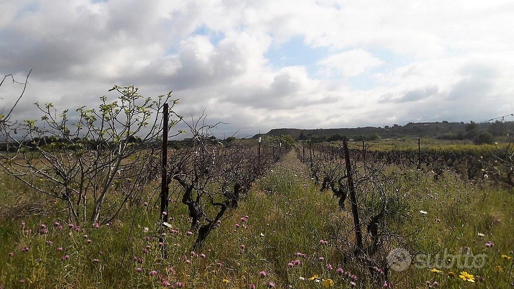 Is Ammostus, Terreno regolare fronte strada - Vista 2