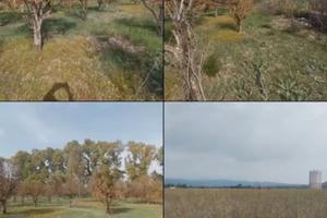 Agrumeto Monastir 4865mq 2 terreni agricoli 6410mq