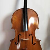 violoncello